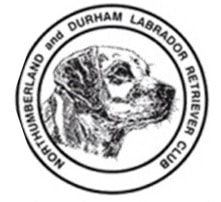 Northumberland and Durham Labrador Retriever Club